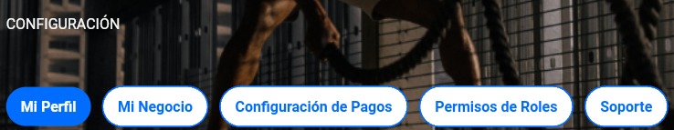 Opciones de configuración en la barra de navegación de la web app
